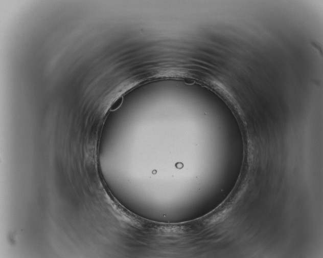 X0000099551041200805231146