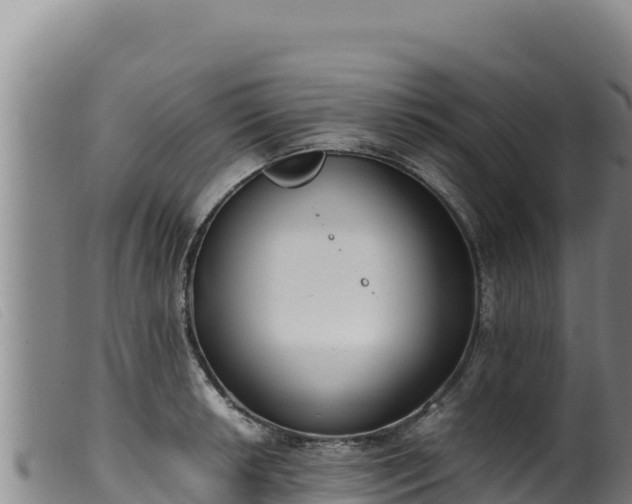 X0000099551042200805231146