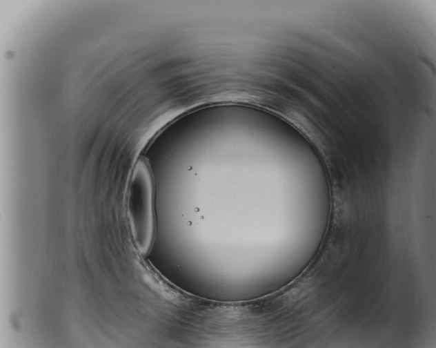 X0000099551044200805231146