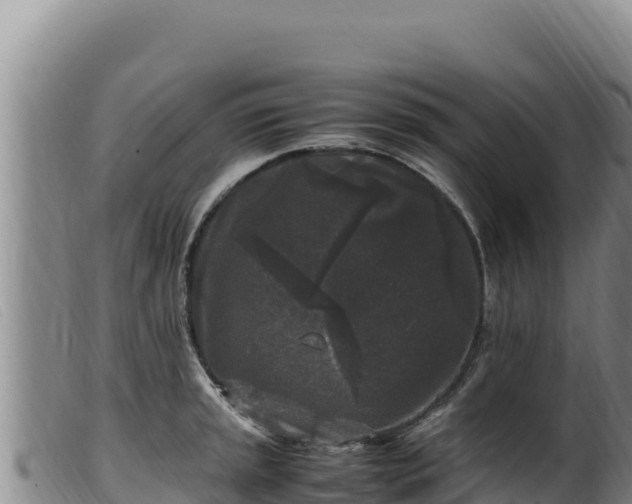 X0000099551045200805231146