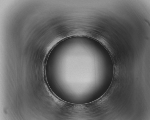 X0000099551046200805231146