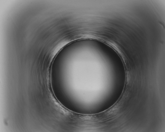 X0000099551048200805231146