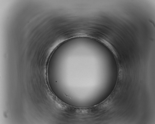 X0000099551051200805231146