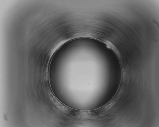 X0000099551052200805231146