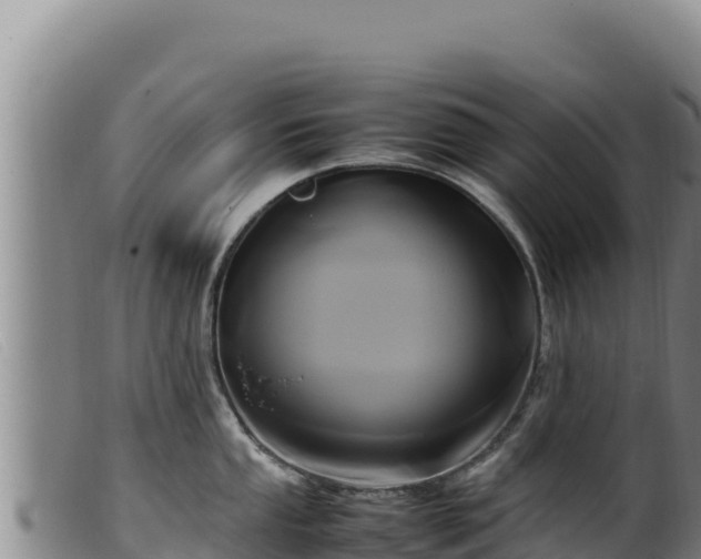 X0000099551053200805231146