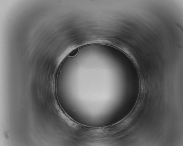 X0000099551054200805231146