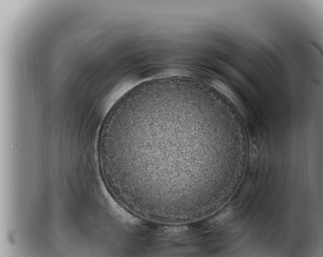 X0000099551055200805231146