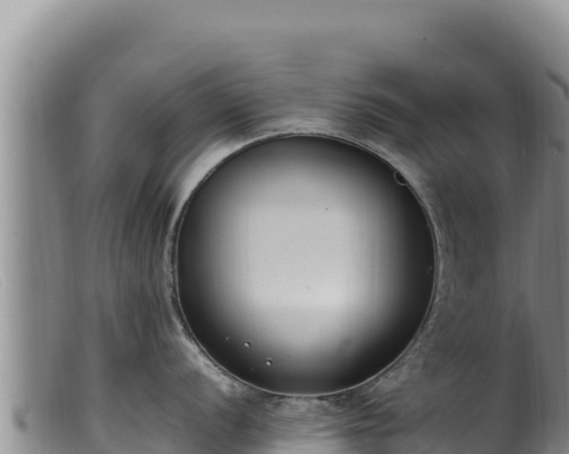 X0000099551056200805231146