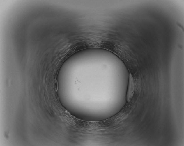 X0000099551057200805231145