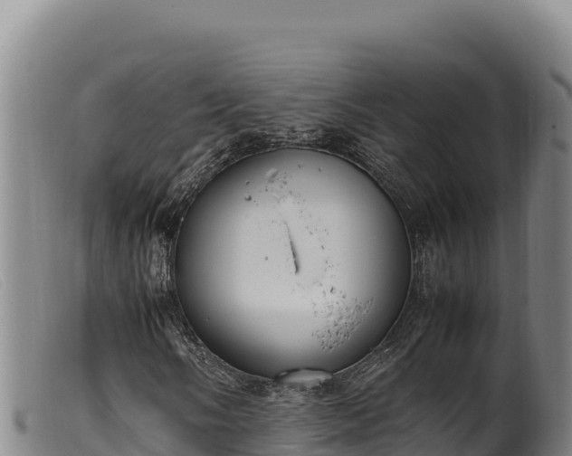 X0000099551058200805231145