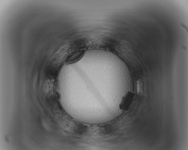 X0000099551059200805231145