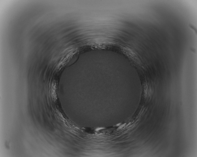 X0000099551060200805231145