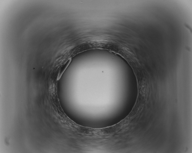 X0000099551061200805231145