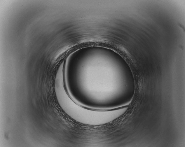 X0000099551064200805231145