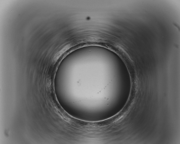 X0000099551065200805231145