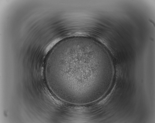 X0000099551066200805231145