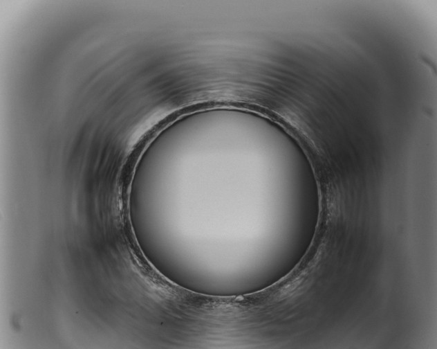 X0000099551070200805231145