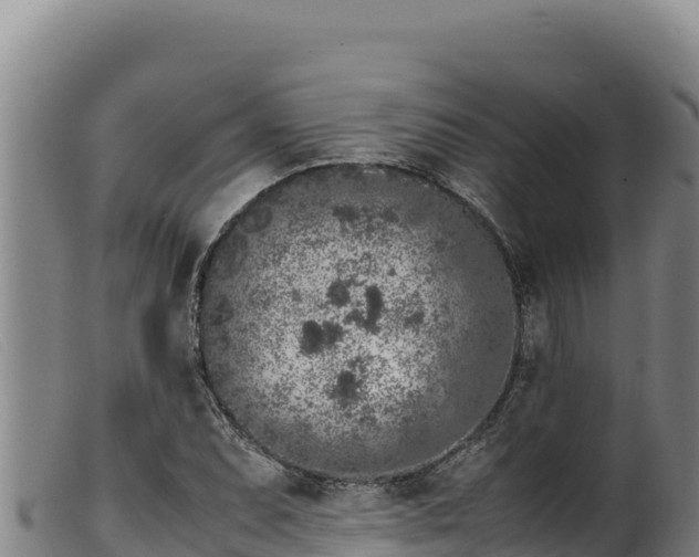 X0000099551071200805231145