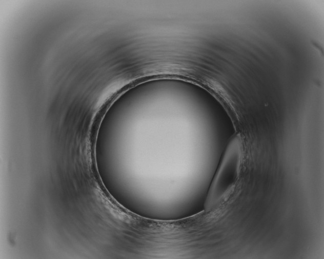 X0000099551072200805231145