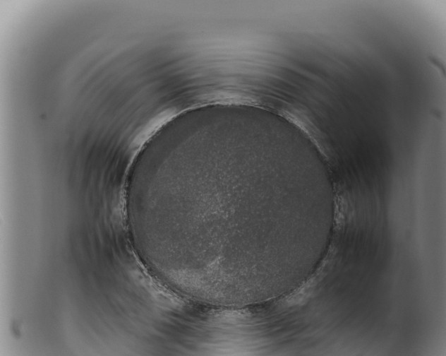 X0000099551074200805231145