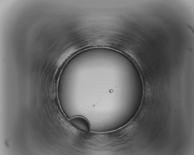 X0000099551075200805231145