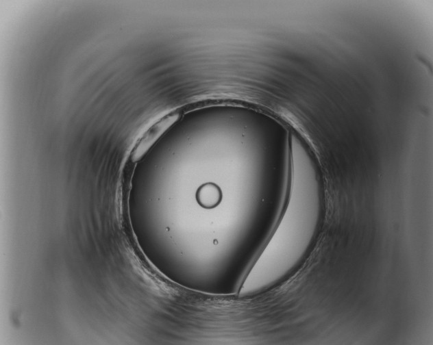 X0000099551076200805231145