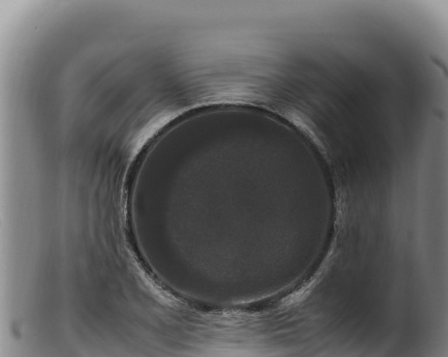 X0000099551077200805231145