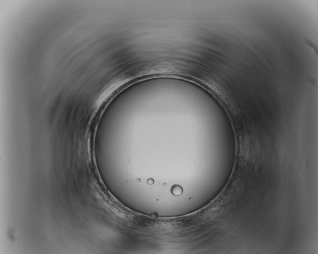 X0000099551078200805231145