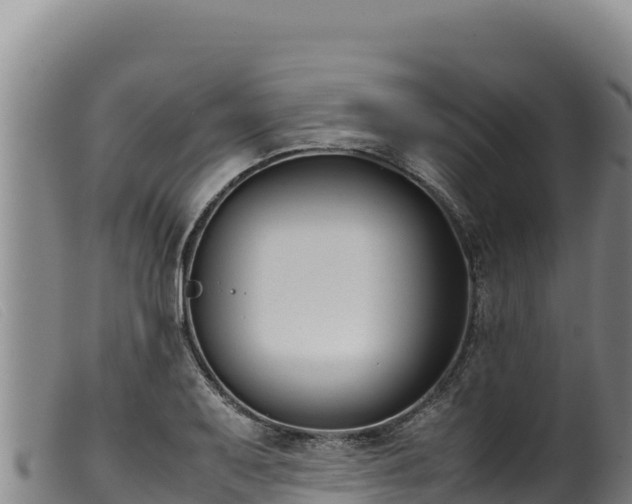 X0000099551079200805231145