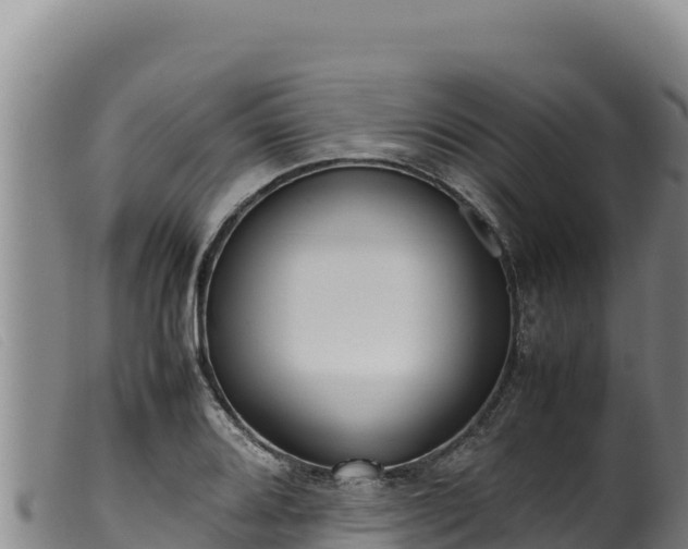 X0000099551080200805231145