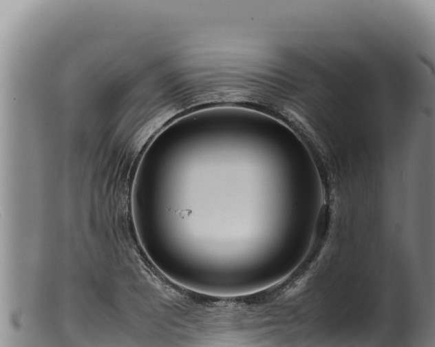 X0000099551081200805231145