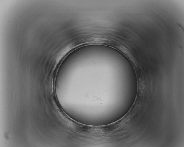 X0000099551083200805231145