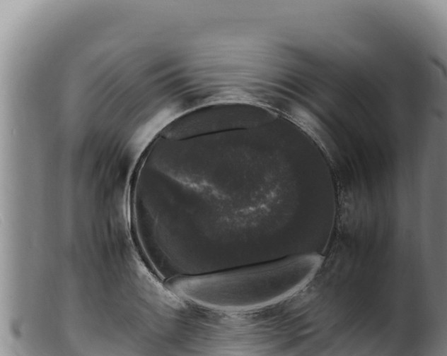 X0000099551084200805231145