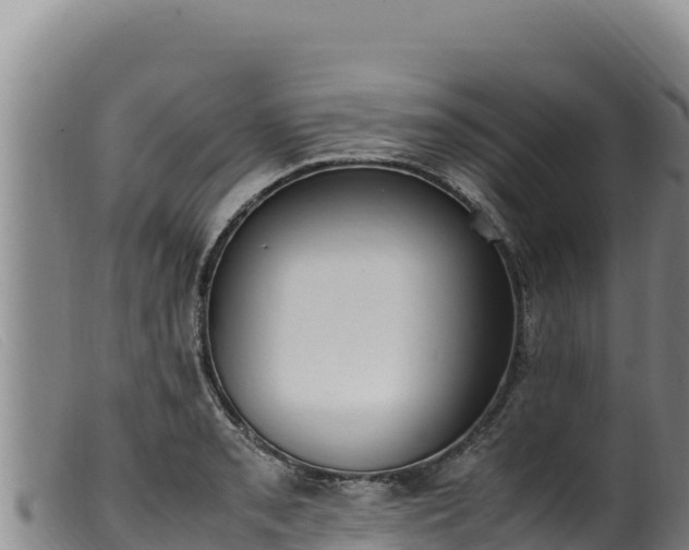 X0000099551085200805231145