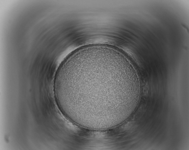 X0000099551086200805231145