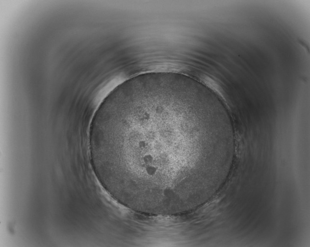 X0000099551087200805231145