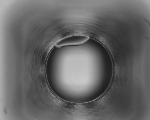 X0000099551089200805231145