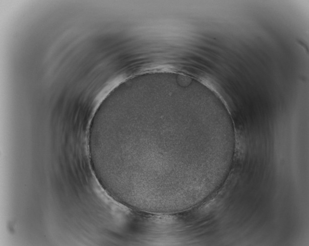 X0000099551090200805231145