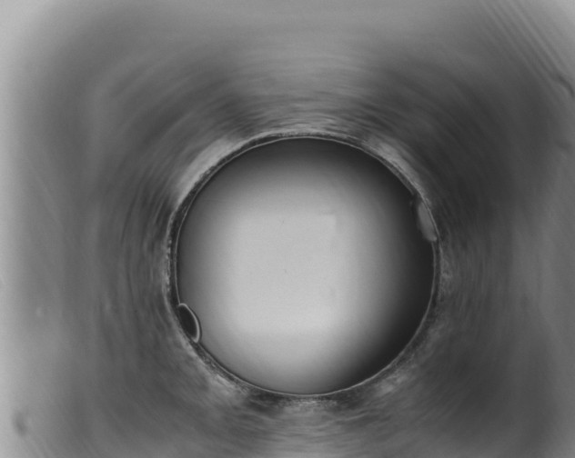 X0000099551093200805231145