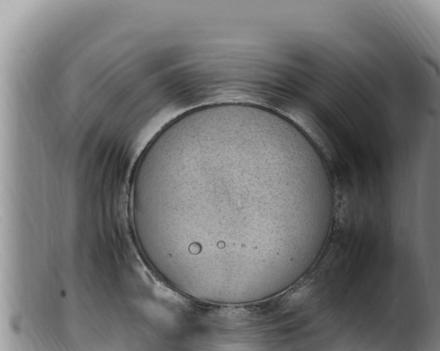 X0000099551094200805231145