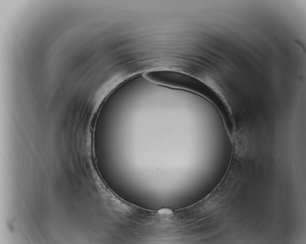 X0000099551096200805231145