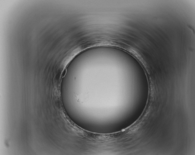 X0000099551097200805231145