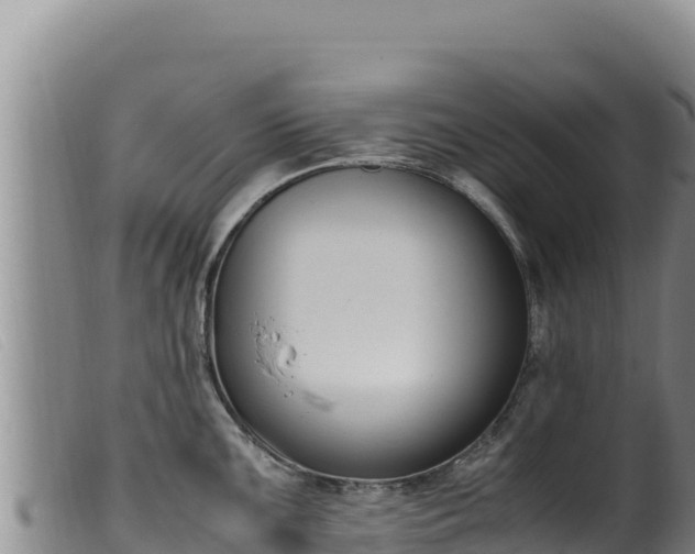 X0000099551099200805231145