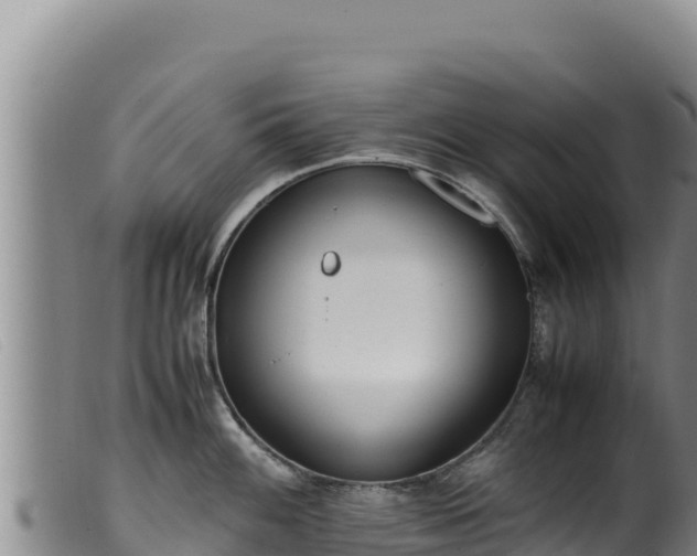 X0000099551100200805231145