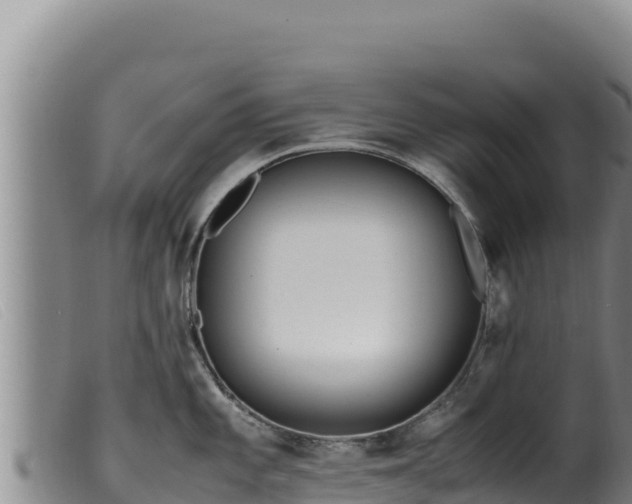 X0000099551101200805231145