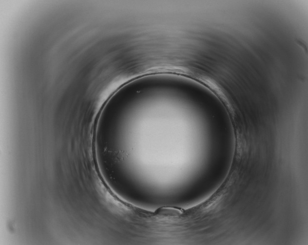 X0000099551102200805231145