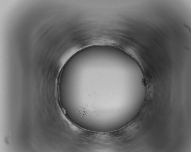 X0000099551103200805231145