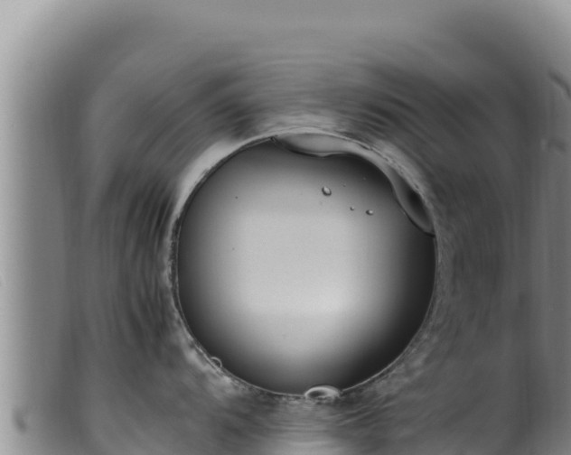 X0000099551104200805231145