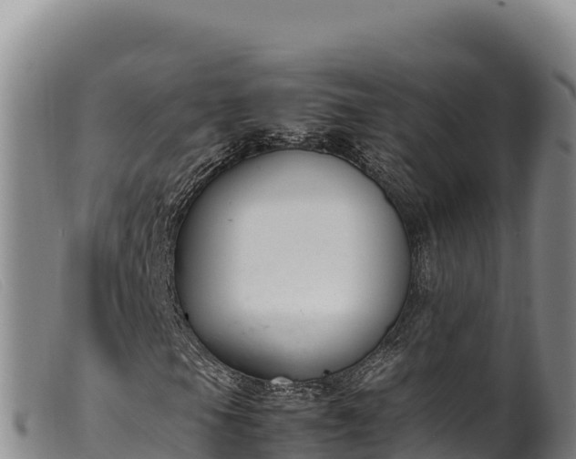 X0000099551105200805231144