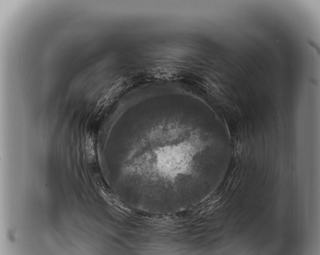 X0000099551106200805231144